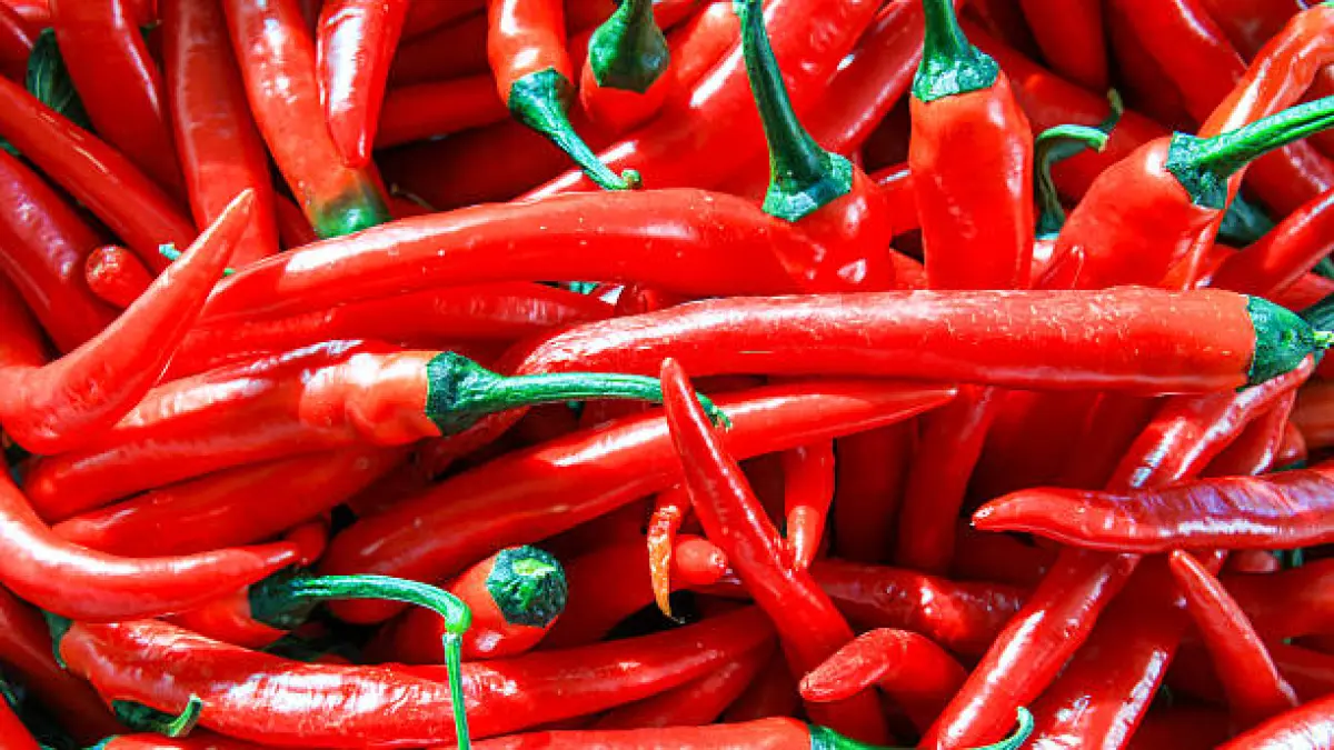 ilustrasi cabai merah (Foto: IStock)