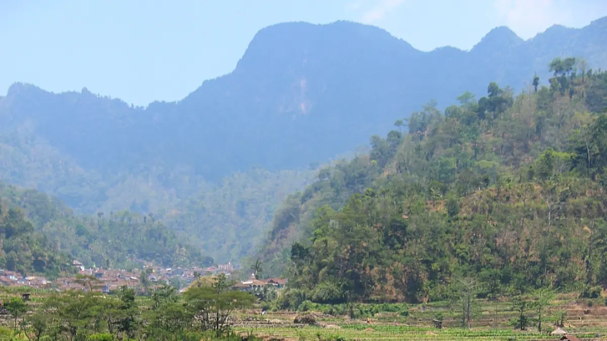 ASRI: Area lembah di Desa Tempur Kecamatan Keling, yang hutannya ditetapkan sebagai Tahura. (FIKRI THOHARUDIN/RADAR KUDUS)