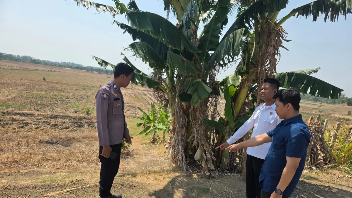 OLAH TKP – Anggota Polsek Tegowanu dan Unit PPA Polres Grobogan lakukan olah TKP atas perkara dugaan bullying di Desa Curug, Kecamatan Tegowanu.