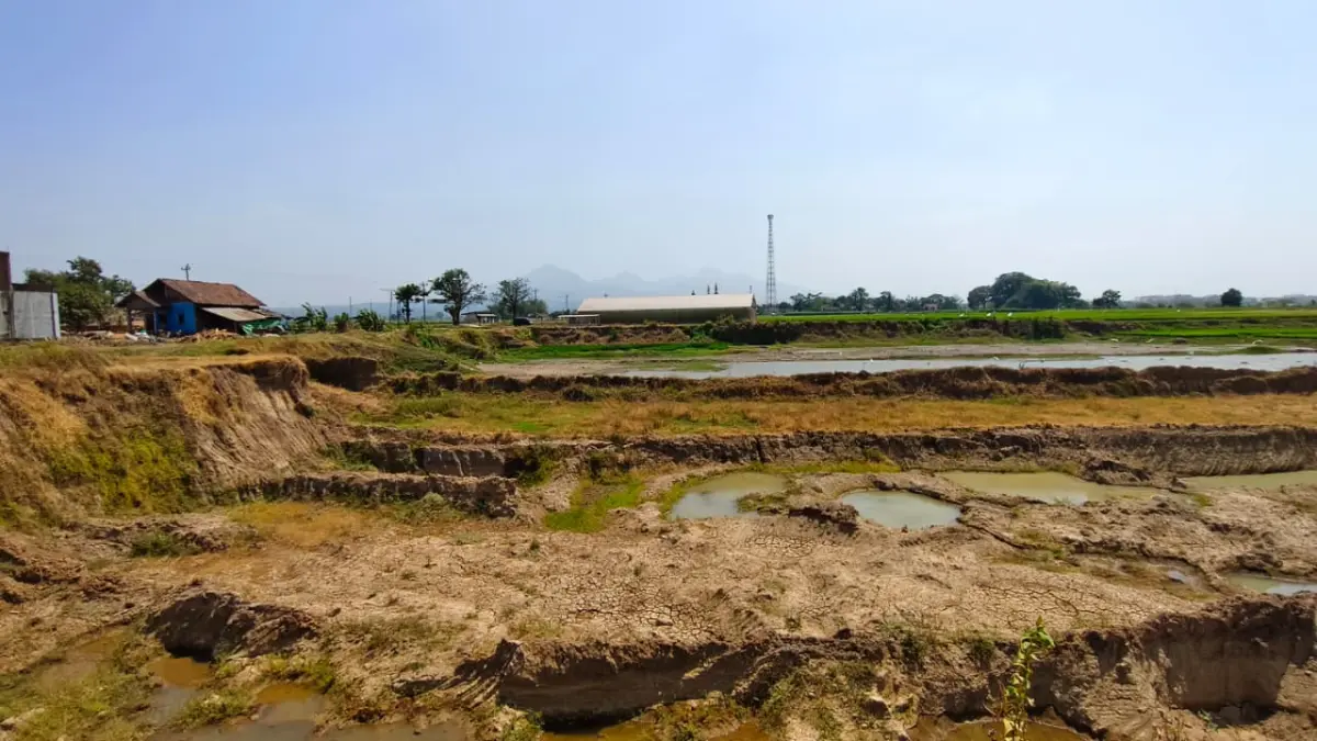 MELANGGAR: Warga Tunggulpandean Nalumsari mengeluhkan tambang yang mendekati rumah, debu, potensi longsor, serta persoalan irigasi pertanian.