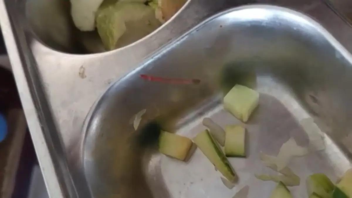 MENGGELIAT: Ulat berwarna merah nampak di menu MBG salah satu sekolah di Pati. (TANGKAPAN LAYAR VIDEO)