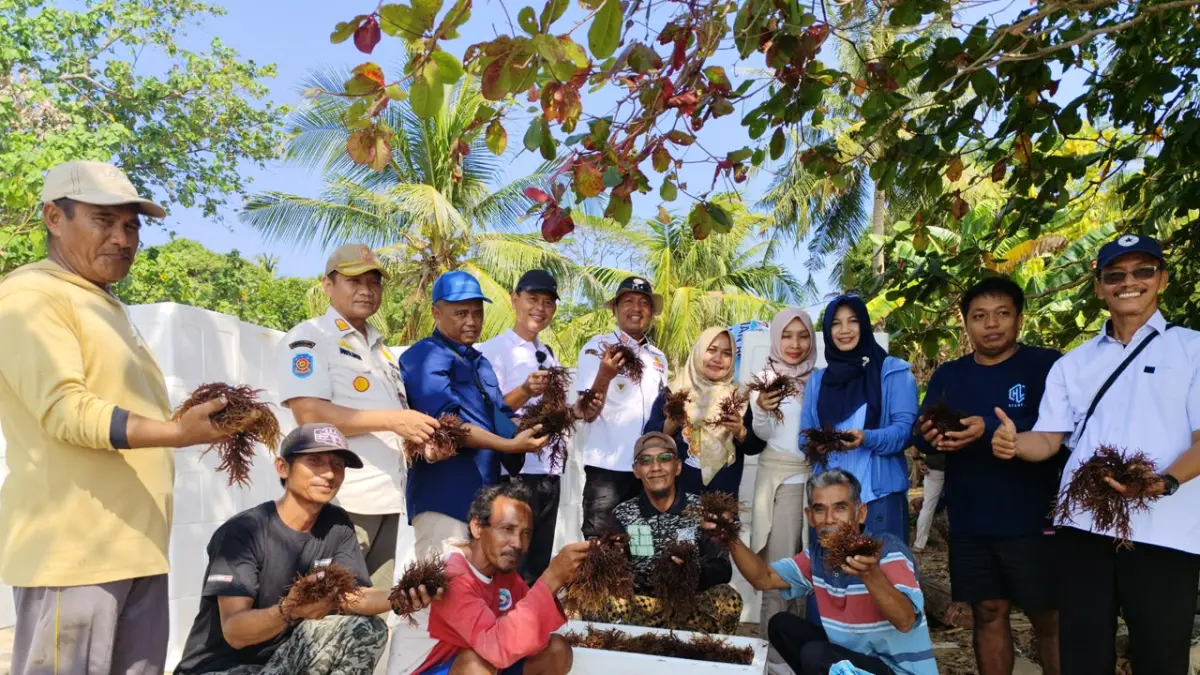 PROGRES: Modeling rumput laut Kemujan belum panen. Pembangunan kawasan pembesaran progres lebih dari 50 persen dengan target produksi 300 ton.