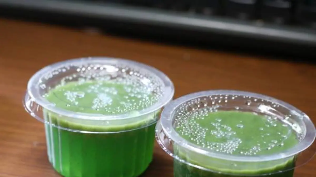 Ilustrasi puding daun kelor