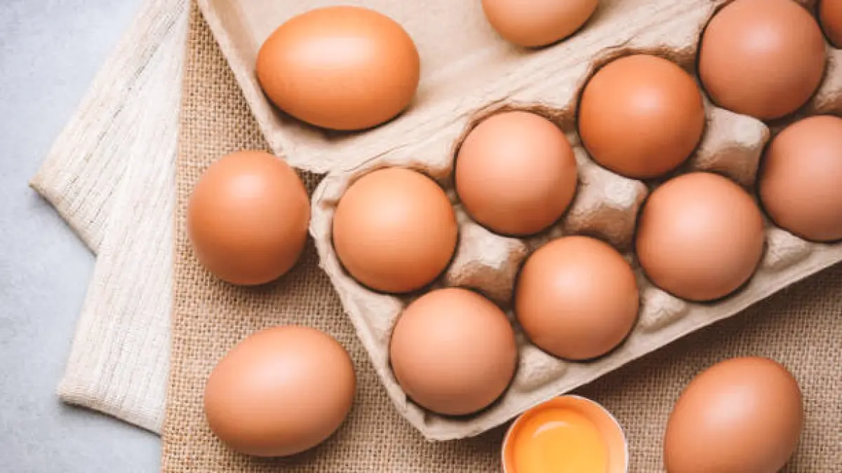 Ilustrasi telur