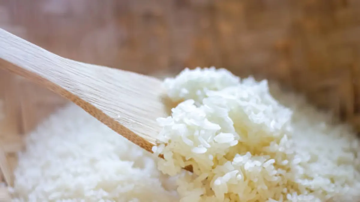 Panduan Aman Menyimpan & Memanaskan Nasi Sisa Kulkas: Cegah Keracunan Bakteri & Dapatkan Manfaatnya