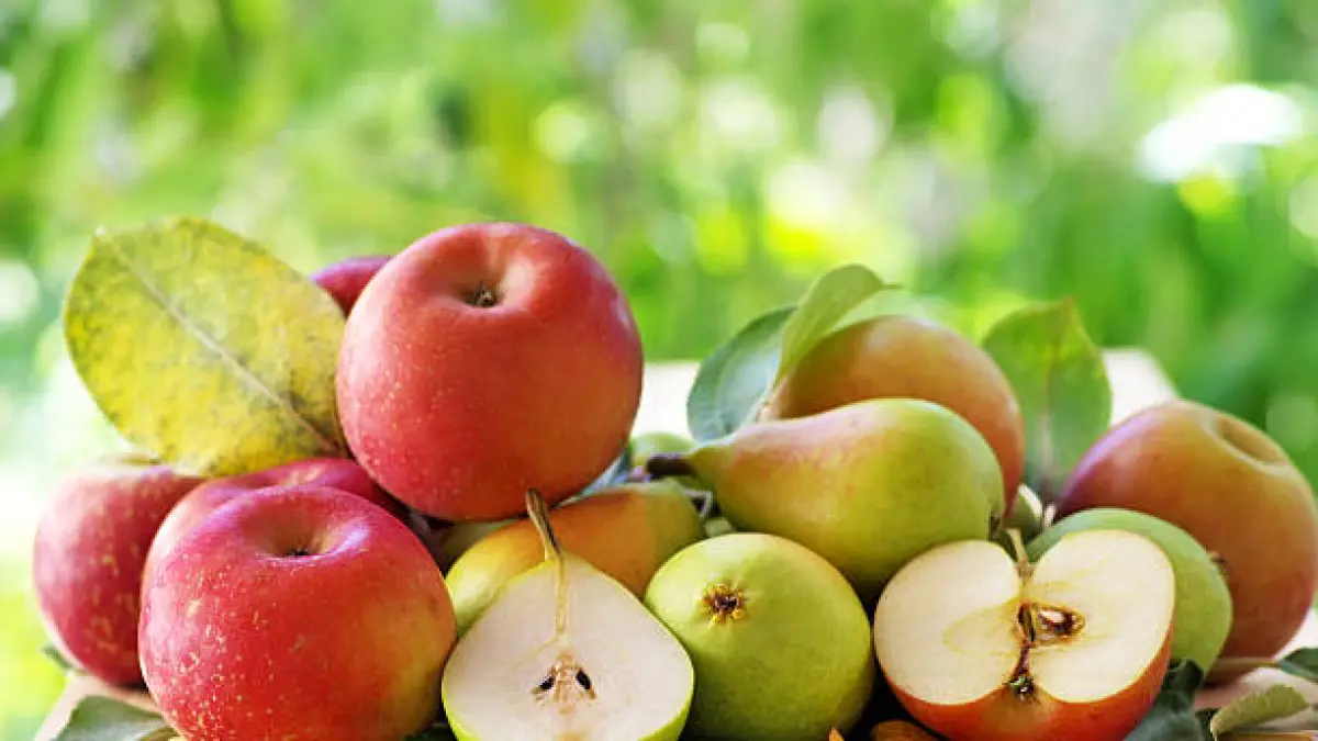 Sama-sama Sehat, tapi Berbeda! Pir dan Apel memiliki Perbedaan Kandungan Serat dan Vitamin