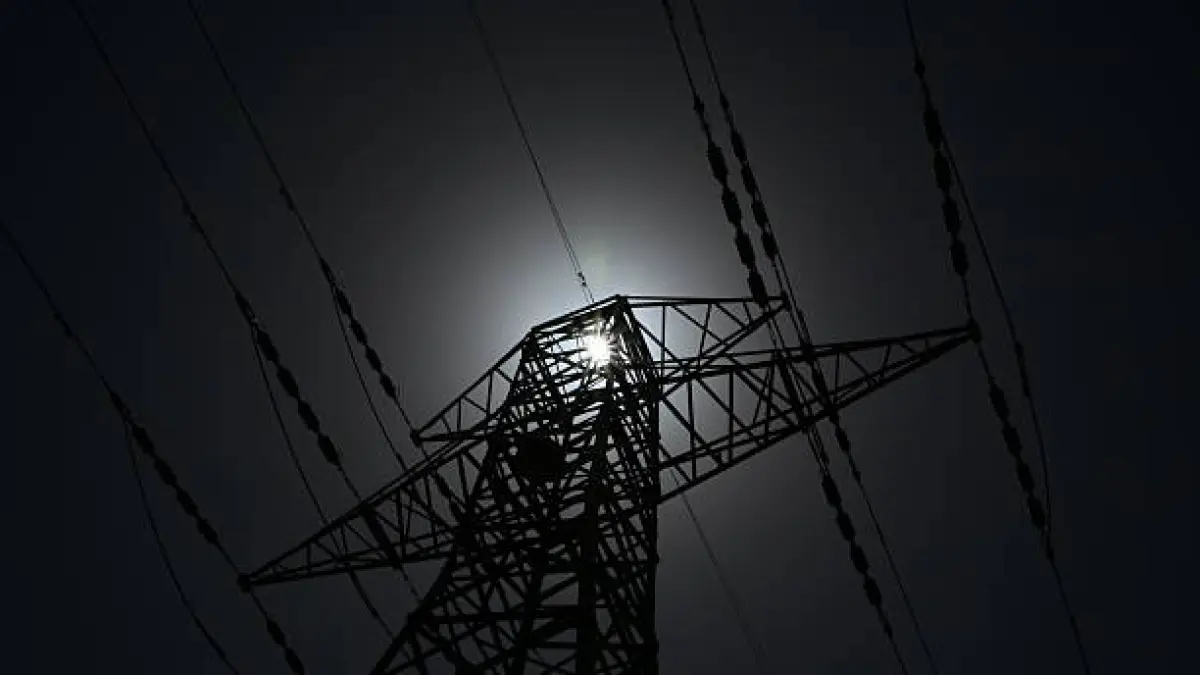 Batam Blackout Total 15 Jam: Air Mati & Sinyal Hilang, PLN Duga Hewan Liar Pemicunya