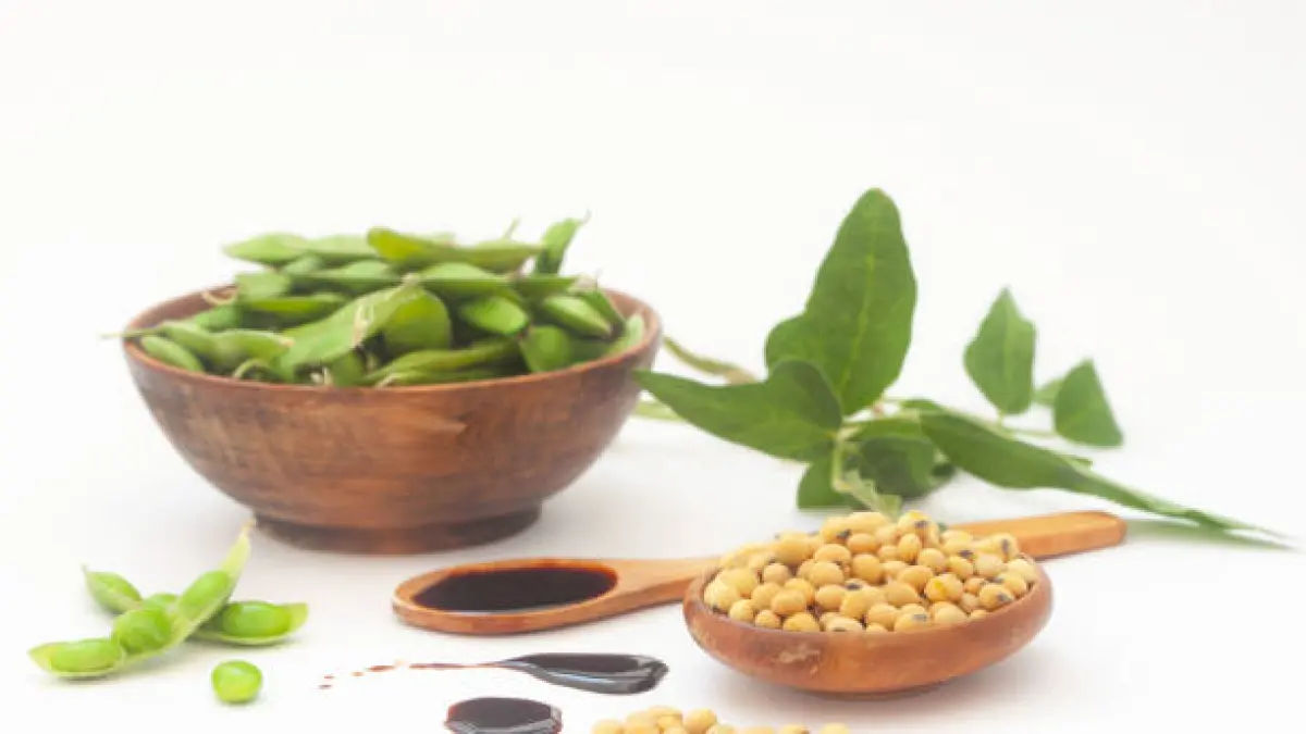 Perbedaan Edamame dan Kedelai, Ini Penjelasan tentang Ciri, Rasa, dan Gizi yang Perlu Diketahui