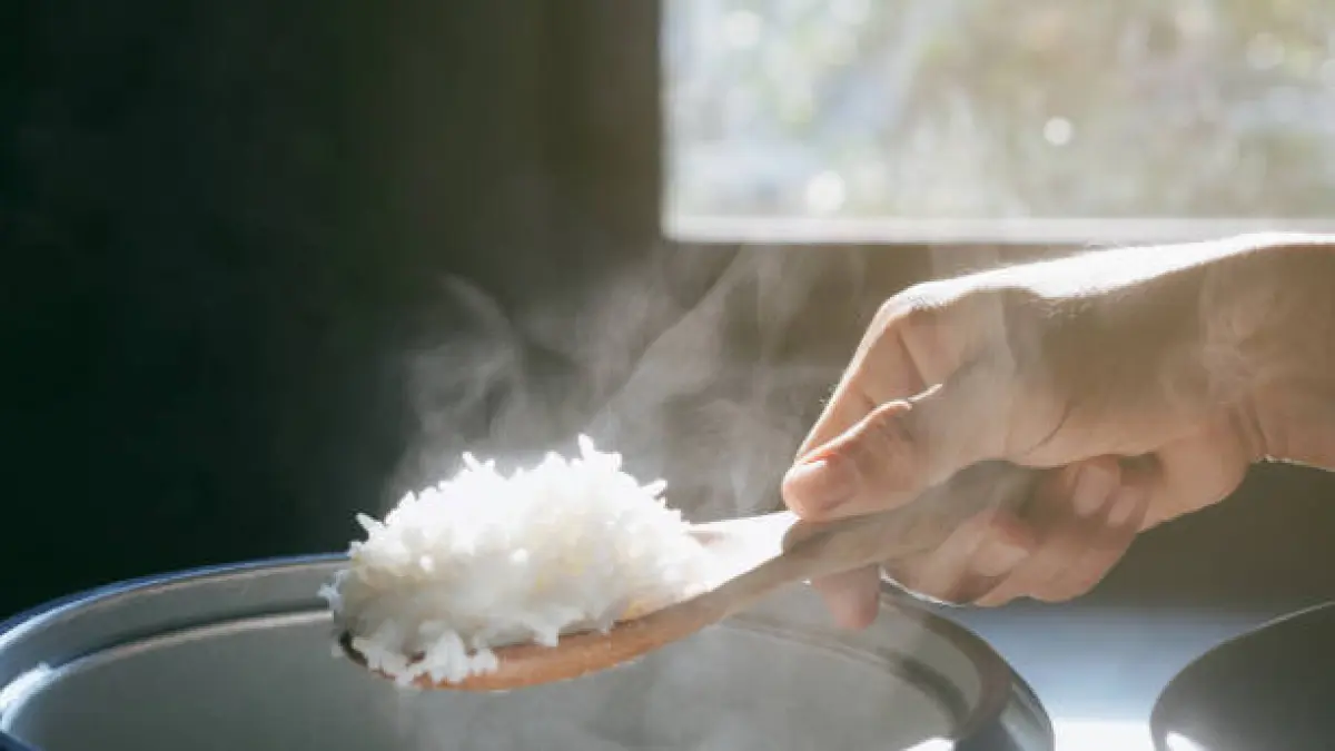 Kandungan Gizi Nasi Panas dan Nasi Dingin Berbeda, Ini Faktor yang Menentukan Respons Gula Darah