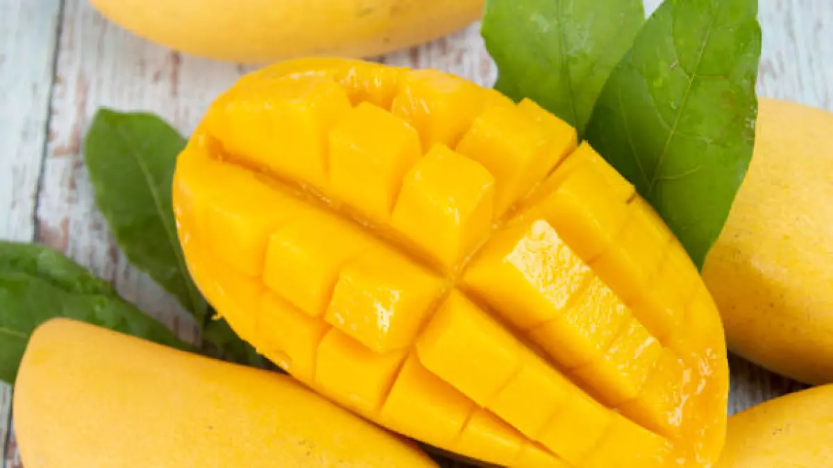 Bolehkah Mangga Dikonsumsi Setiap Hari? Ketahui Manfaat Mangga bagi Tubuh serta Porsi yang Tepat
