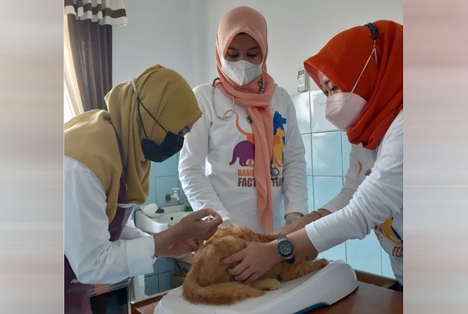 DISUNTIK: Salah satu hewan peliharaan saat mendapatkan vaksin rabies di Disnakkan Grobogan kemarin. (INTAN MAYLANI SABRINA/RADAR KUDUS)  
