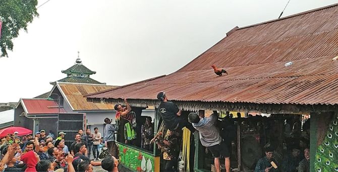 Dalam Tradisi Mondosiyo, warga saling memperebutkan ayam. Foto ini diambil sebelum pandemi, beberapa tahun lalu di Dusun Pancot, Tawangmangu. Tradisi ini akan ditetapkan sebagai warisan budaya tak berbenda. (Istimewa via Radar Solo)