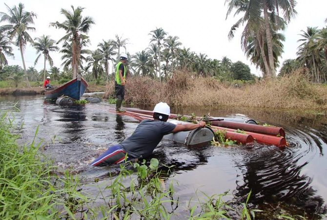 BERJUANG: Petugas PLN memasang jaringan listrik menebus hutan dan rawa di perbatasan Malaysia. (PLN FOR RADAR KUDUS)