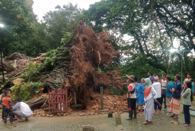 JADI TONTONAN: Sejumlah warga mengabadikan pohon tua di atas makam Ki Ageng Panohan yang tumbang Rabu lalu (9/3). (ISTIMEWA FOR RADAR KUDUS)