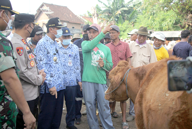 TERUS BERBENAH: Bupati Rembang Abdul Hafidz bersama rombongan Forkompimda saat sidak di pasar hewan Pamotan baru-baru ini. (WISNU AJI/RADAR KUDUS)