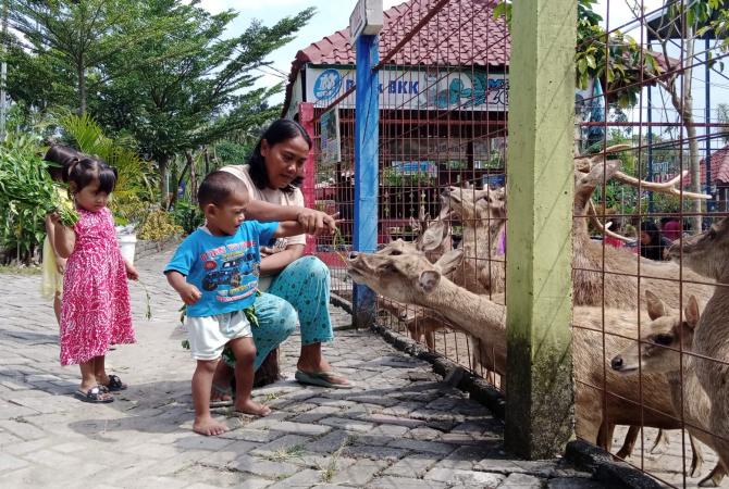 AKTIF: Pengunjung mini zoo, anak dan ibunya sedang memberikan makan rusa, Minggu (3/7) (EKO SANTOSO/RADAR KUDUS)