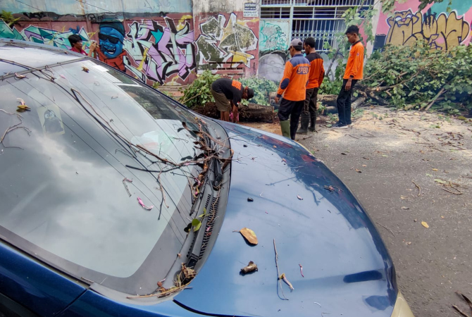 BERSIHKAN: Petugas BPBD membersihkan puing pohon yang menimpa mobil milik Alfian warga (48) warga Desa/Kecamatan Pamotan, Rembang pada Senin (7/11). (GALIH ERLAMBANG W/ RADAR KUDUS)
