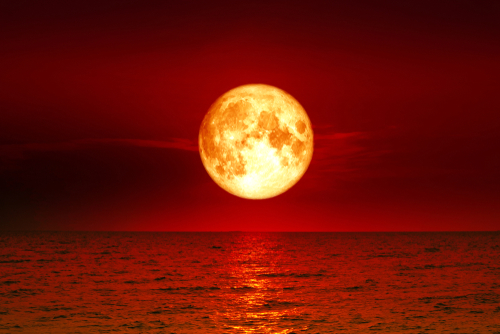 gerhana bulan, (okezone)