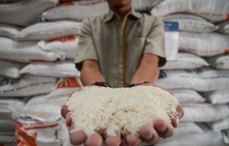 ILUSTRASI: 500 Ton Beras di Gudang Bulog Pinrang Hilang