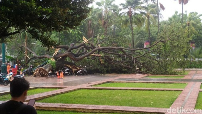 Pohon besar tumbang di Balai Kota DKI Jakarta. (detikcom)