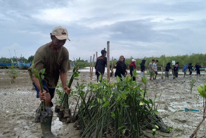 KUMPULKAN BIBIT: Warga bersama para mahasiswa melakuka penanaman mangrove di Desa Pasarbanggi baru-baru ini. (VACHRI RINALDY L/RADAR KUDUS)