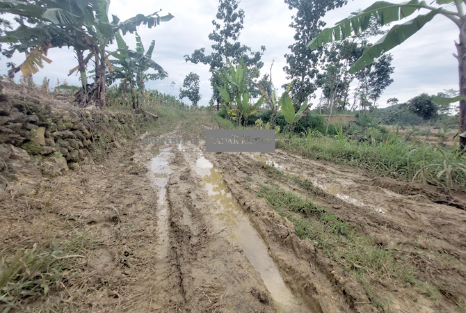 MISTERIUS: Kondisi jalan berlumpur yang dilewati HRV tersesat di Gunung Liwung turut Desa Wukirsari, Tambakromo kemarin (14/2). (ANDRE FADIHIL FALAH/RADAR KUDUS)