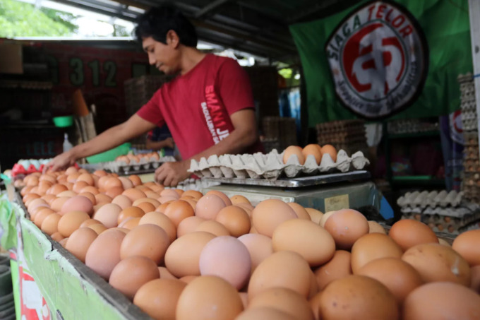Pedagang merapihkan telur ayam di kawasan Pejaten, Jakarta Selatan, Rabu (30/11/2022). Menjelang hari Natal dan Tahun baru 2023 sejumlah kebutuhan pokok mulai merangkak naik, menurut pedagang harga telur ayam naik dari Rp. 28.000 menjadi Rp. 31.000 - 35.0