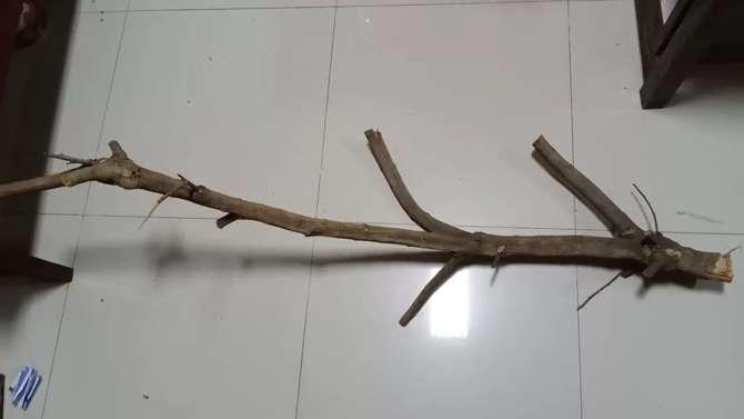NGAWUR: Kayu yang dipakai pelaku untuk memukul korban. (Dok Humas Polres Bantul)
