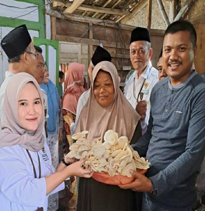 BUDIDAYA: Dokumentasi perkembangan kelompok jamur tiram berkah nyukupi Sumurpule, Kragan dari program Baznas Rembang. (BAZNAS RBG UNTUK RADAR KUDUS)