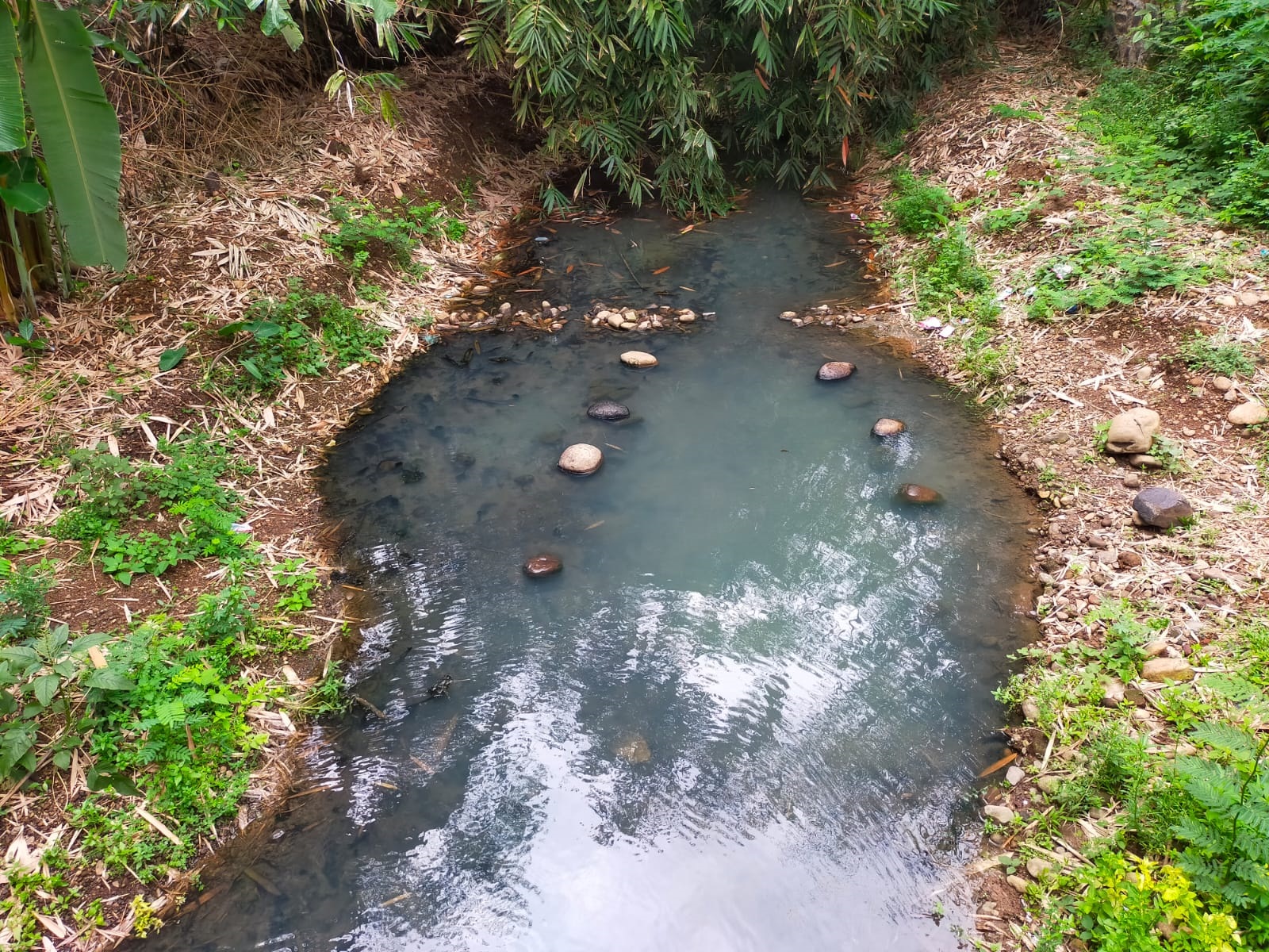 KERUH: Sungai Sember Lusi di Desa Padurenan Kabupaten Kudus yang diduga tercemar oleh limbah pabrik tahu. (PEMERINTAH DESA PADURENAN UNTUK JAWA POS RADAR KUDUS)