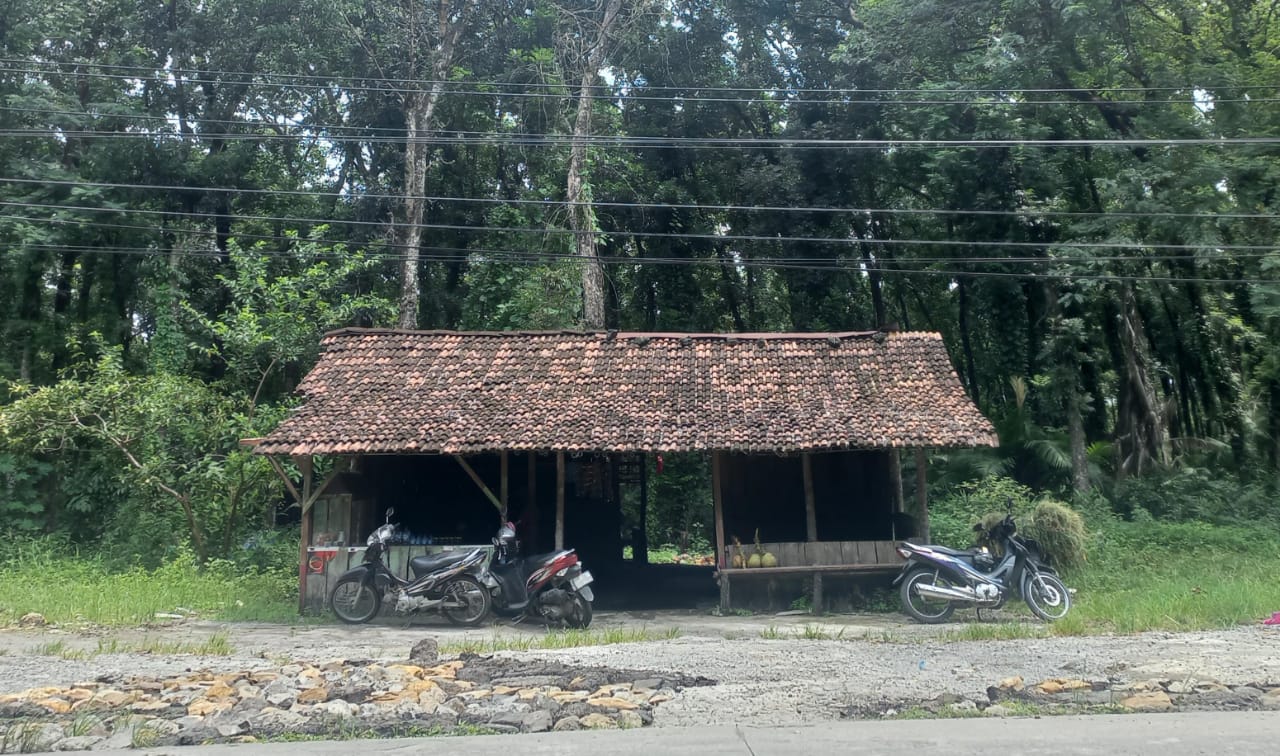 SINGUP: Suasana warung milik Sri yang didirikan di kawasan Hutan Tontongan tepi Jalan Raya Gemolong-Purwodadi Jumat (23/2). (FIKRI THOHARUDIN/RADAR KUDUS)