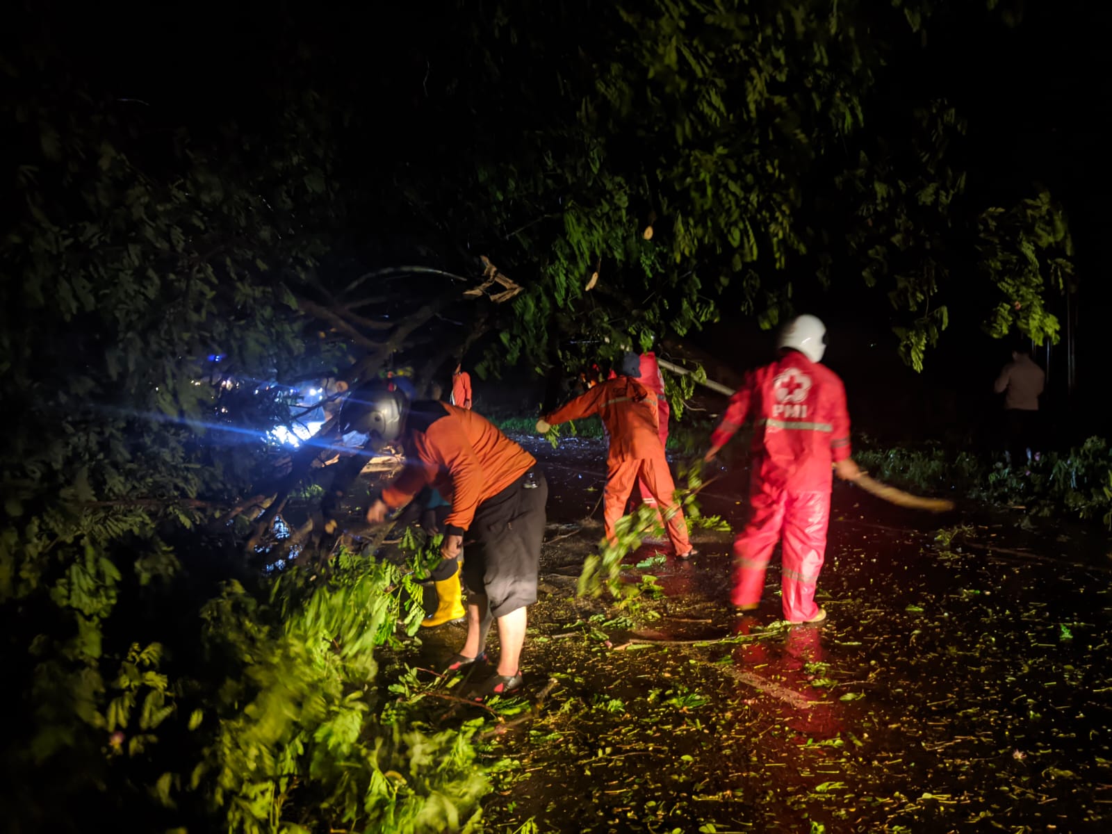 WASPADA : Sebuah pohon besar tumbang di Jalan Pantura Pati - Juwana, Desa Sugiharjo Pati Kota, pada (13/3) malam. (RELAWAN UNTUK RADAR KUDUS)