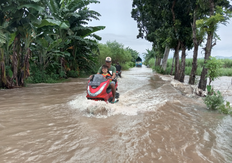 TERENDAM: Pengendara melintas di area sawah di Desa Gadudero, Kecamatan Sukolilo, Pati kemarin (15/3).