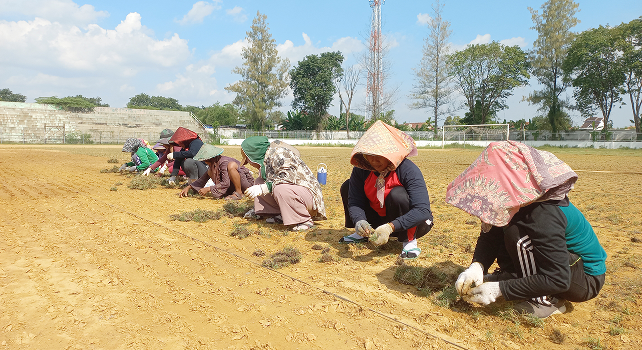 KEBUT: Ibu-ibu warga Kelurahan Purwodadi senang sebab diberdayakan untuk menanam rumput di stadion Krida Bhakti kemarin.