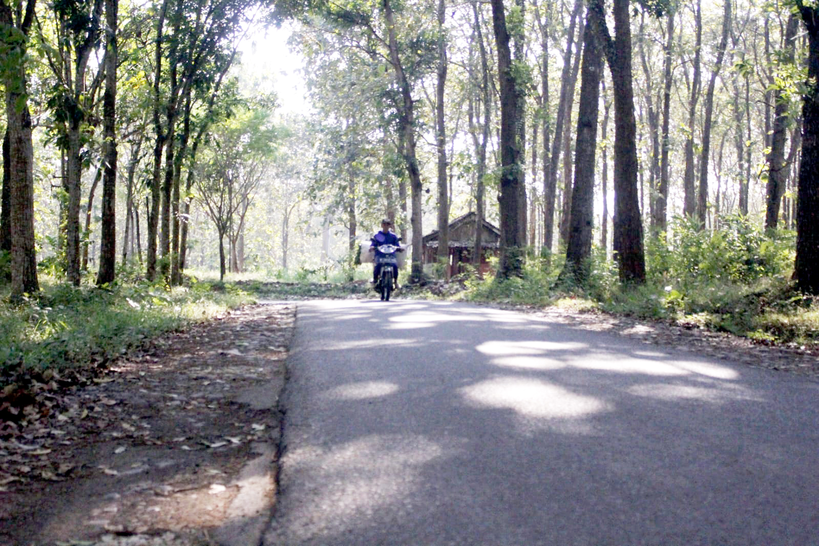 PENERTIBAN ASET: Pengendara motor melintasi jalan di Kawasan hutan Tlogowungu, Pati. Ratusan lahan di hutan tersebut ditata pemerintah. (ANDRE F FALAH/RADAR PATI)