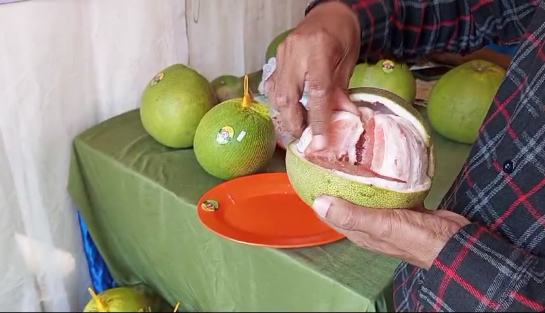 ANDALAN: Jeruk pamelo dari Desa Bageng, Kecamatan Gembong, selalu mendapat banyak permintaan dari pasar luar kota. (ACHMAD ULIL ALBAB/RADAR KUDUS)   &nbsp;