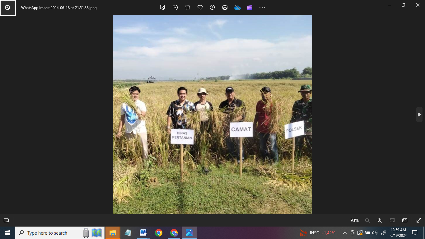 MENINGKAT: Petani panen padi dengan pupuk berteknologi nano yang meningkatkan tonase gabah. (IUSTRASI)