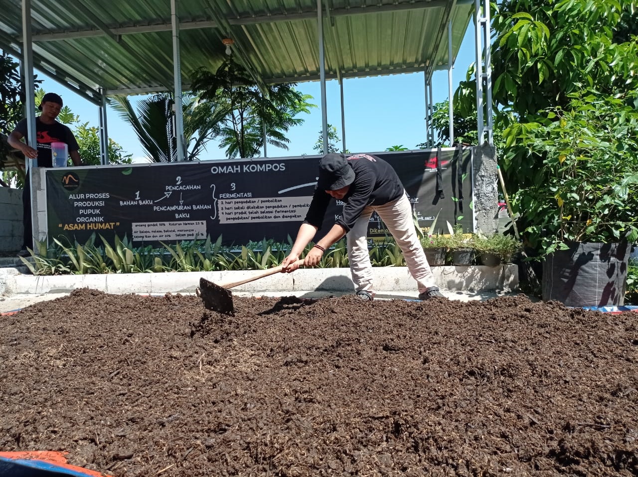 INOVATIF: Salah seorang anggota komunitas Jaringan Peduli Sungai Juwana mengolah enceng gondok menjadi pupuk organik. (ACHMAD ULIL ALBAB/RADAR KUDUS)