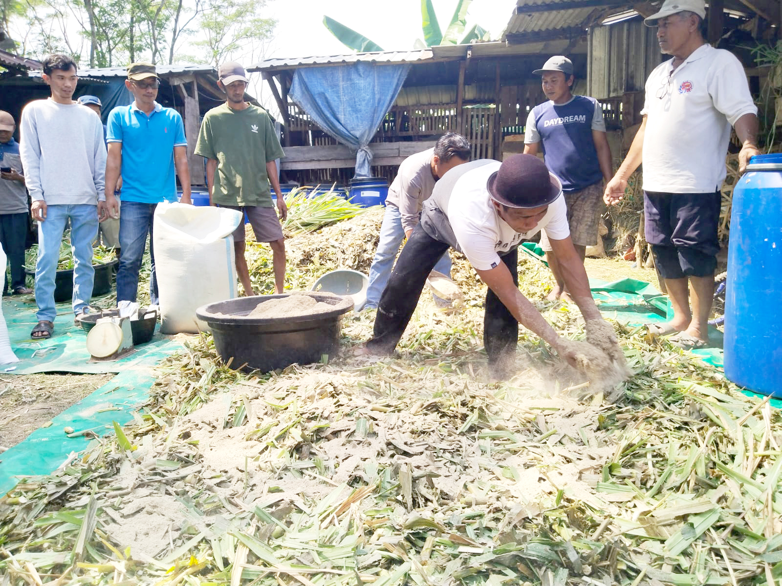 EDUKASI PAKAN: Anggota Kelompok Ternak Kanaya Barokah Desa Karangmalang, Kecamatan Gebog, Kudus mengikuti pelatihan pembuatan pakan fermentasi kemarin. SEKARWATI / RADAR KUDUS