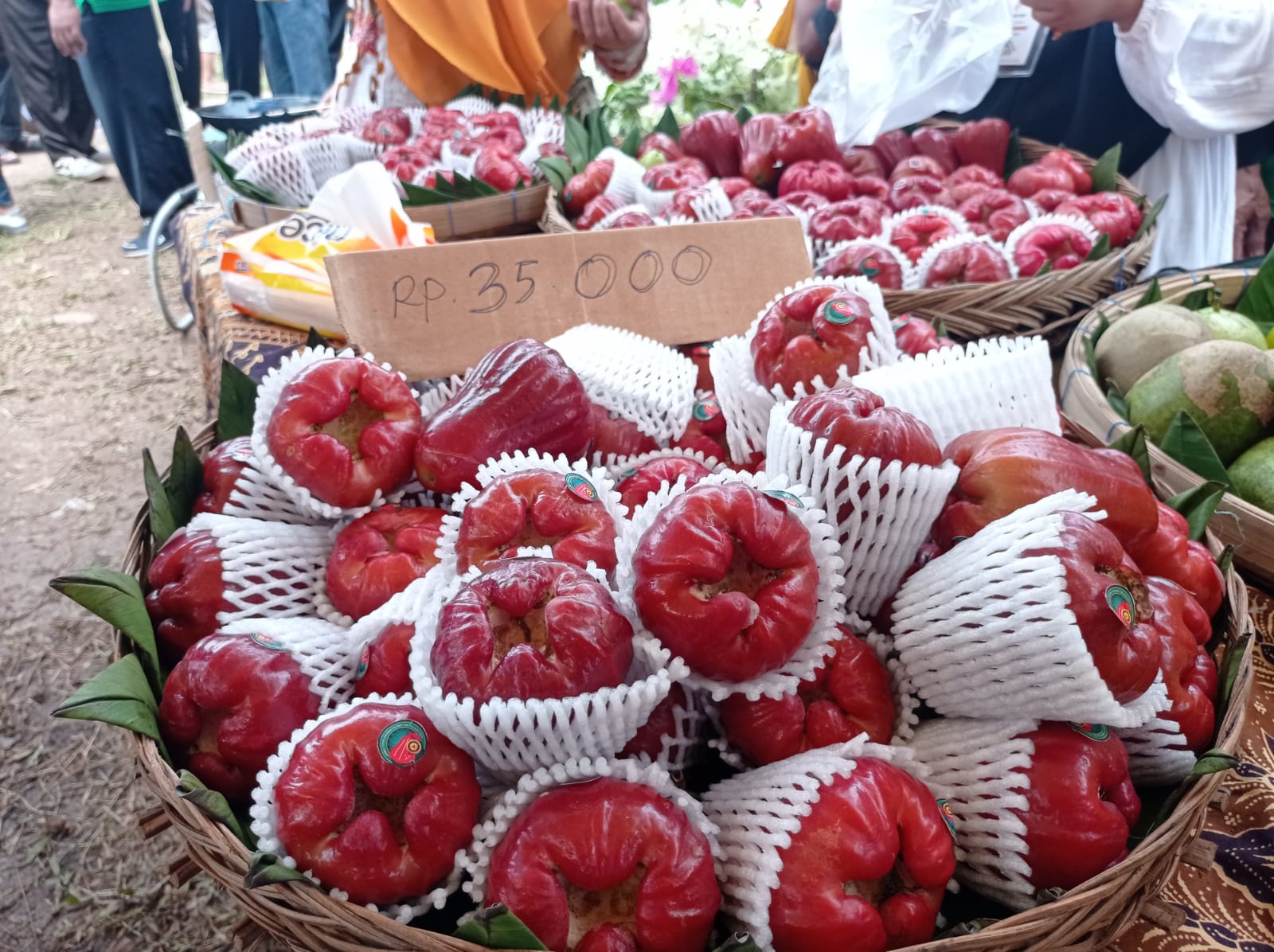 POTENSI : Buah jambu citra dari Desa Sidomulyo Kecamatan Gunungwungkal Pati dikenal sangat istimewa. (ACHMAD ULIL ALBAB/RADAR KUDUS)