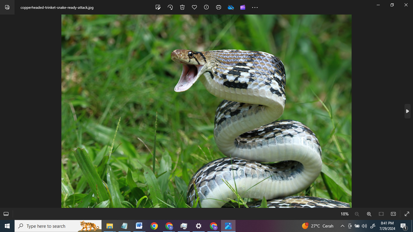 ILUSTRASI: Mimpi ular kobra. (sumber freepik)