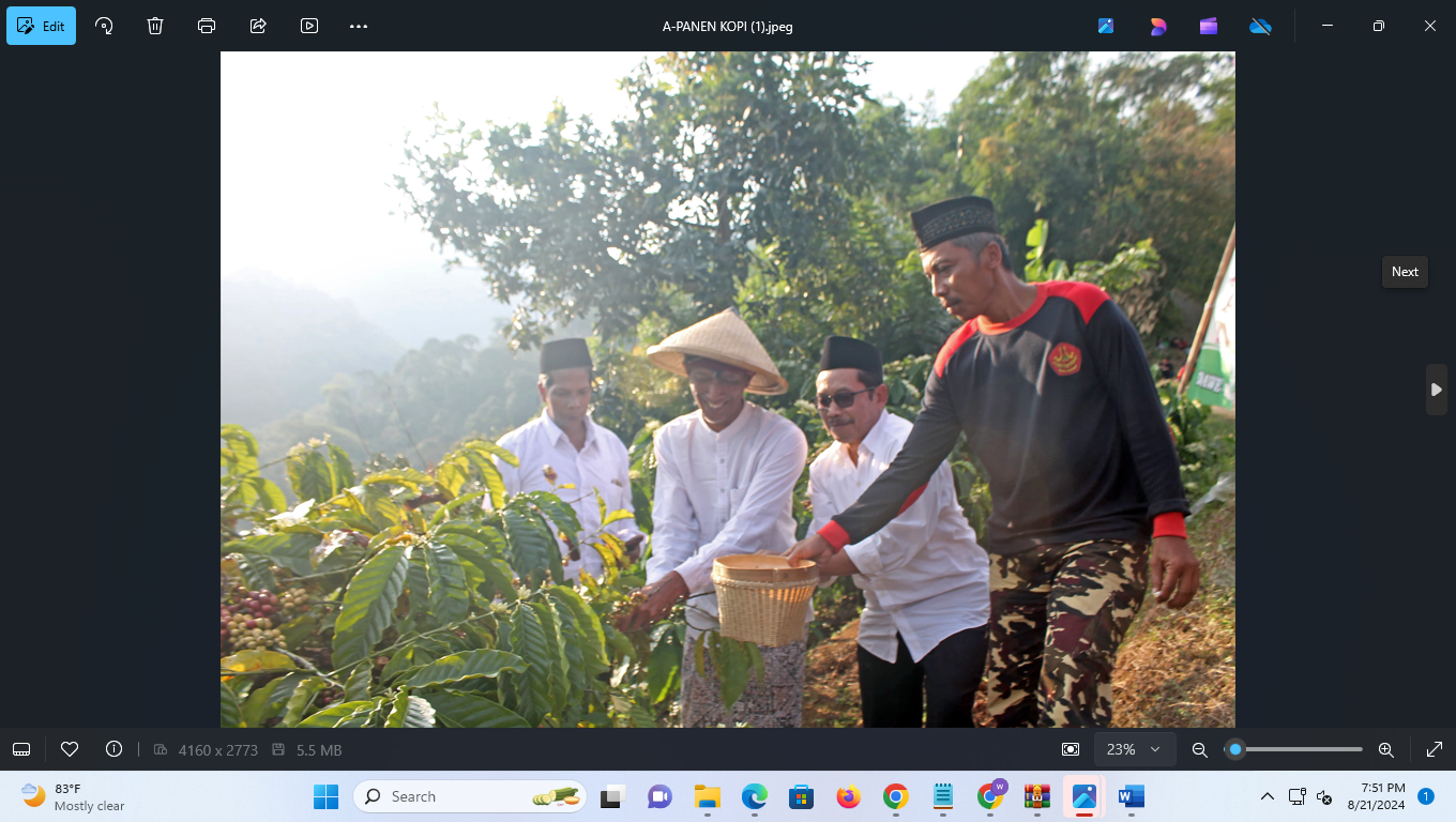 UNTUNG: Petani Desa Japan, Kecamatan Dawe, Kudus mulai panen kopi beberapa waktu lalu. (FIKRI THOHARUDIN / RADAR PATI)
