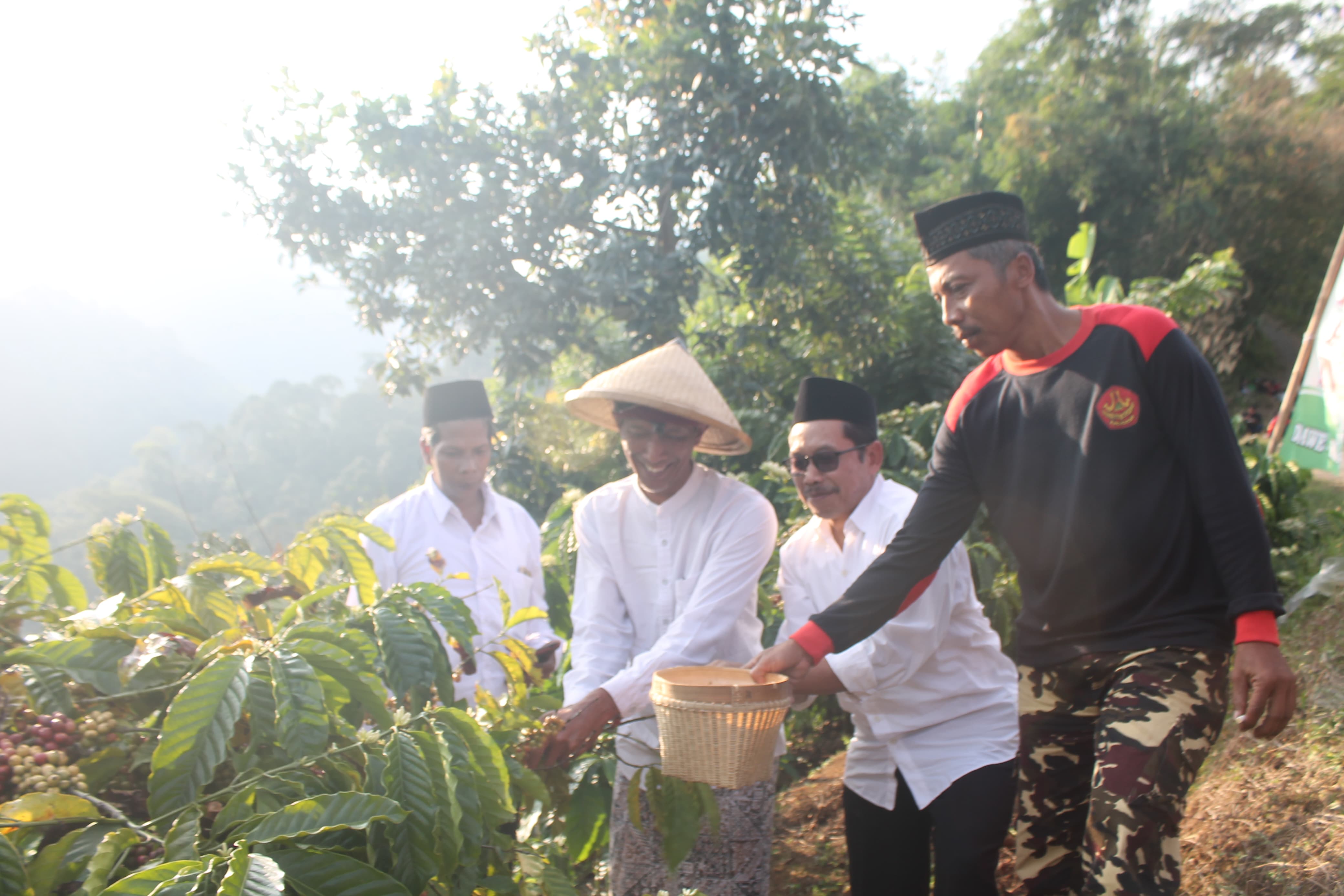 UNTUNG: Petani Desa Japan, Kecamatan Dawe, Kudus mulai panen kopi beberapa waktu lalu. (FIKRI THOHARUDIN/RADARPATI.ID)