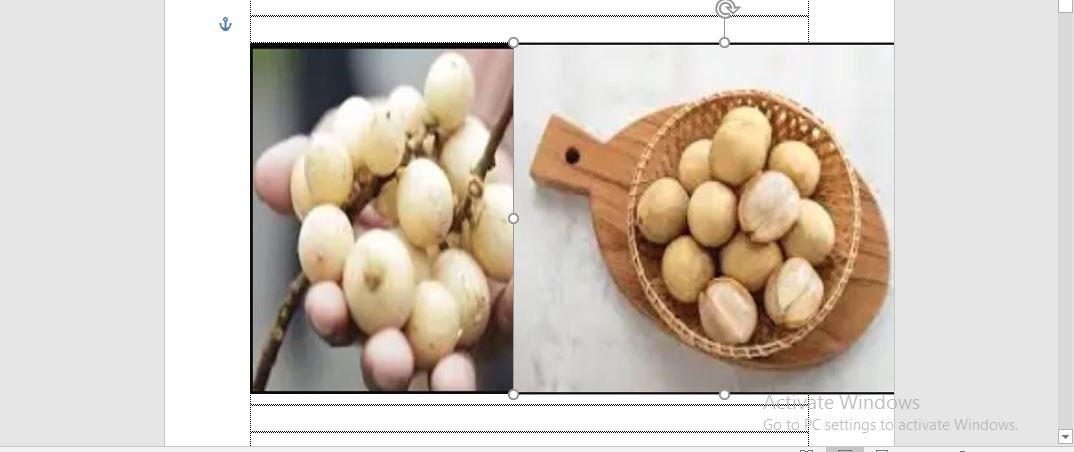 buah duku (kanan) buah langsat (kiri) (istimewa)