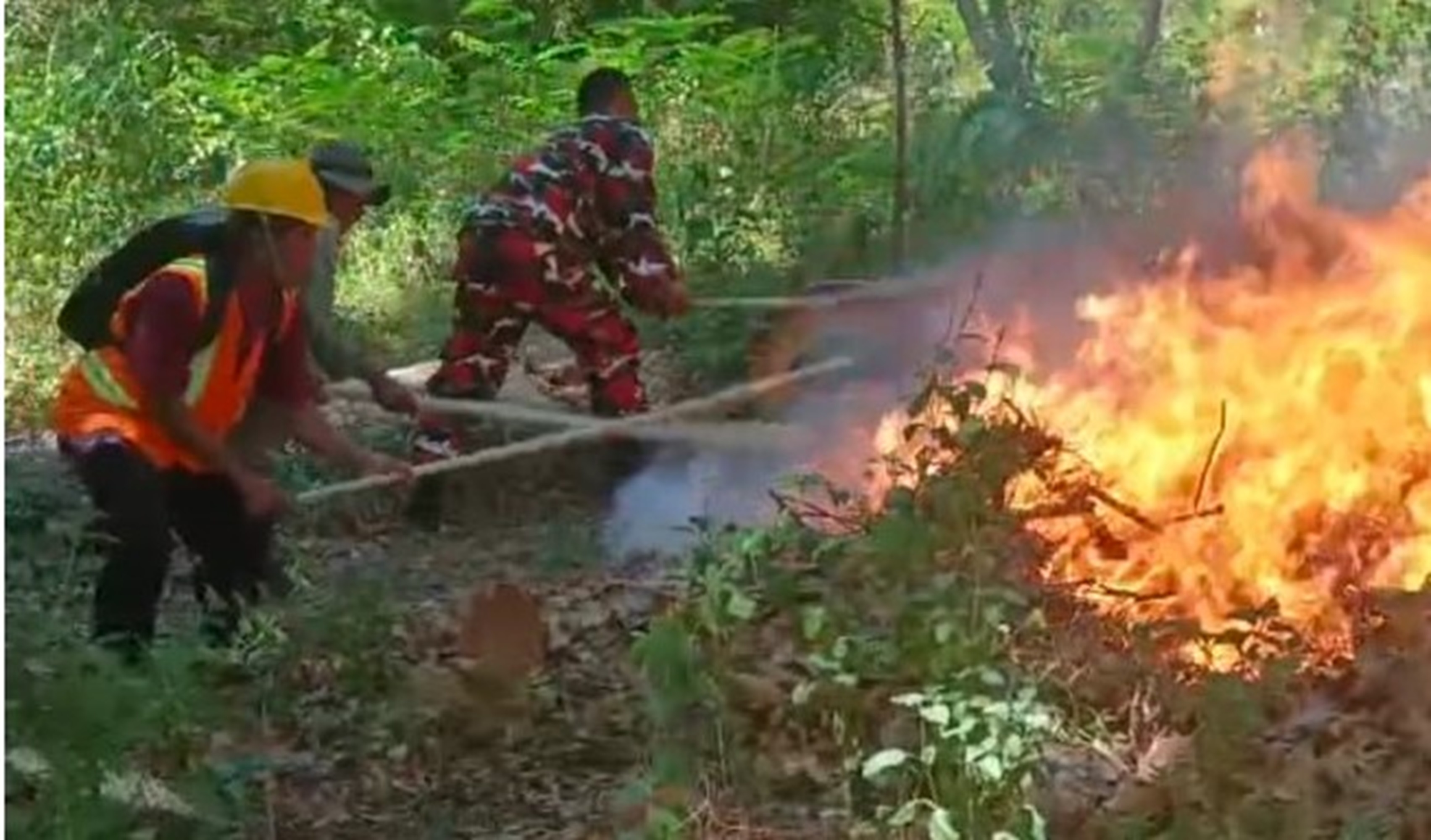 PADAMKAN API: Petugas dari Perhutani Gundih memadamkan dalam simulasi kebakaran hutan di wilayah KPH Gundih wilayah BKPH Gundih, kemarin. SIROJUL MUNIR/RADARPATI.ID