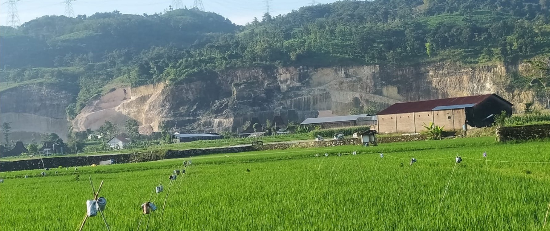 BERKURANG: Kondisi lingkungan di wilayah Kecamatan Sukolilo belum lama ini. ANDRE FAIDHIL FALAH/RADARPATI.ID