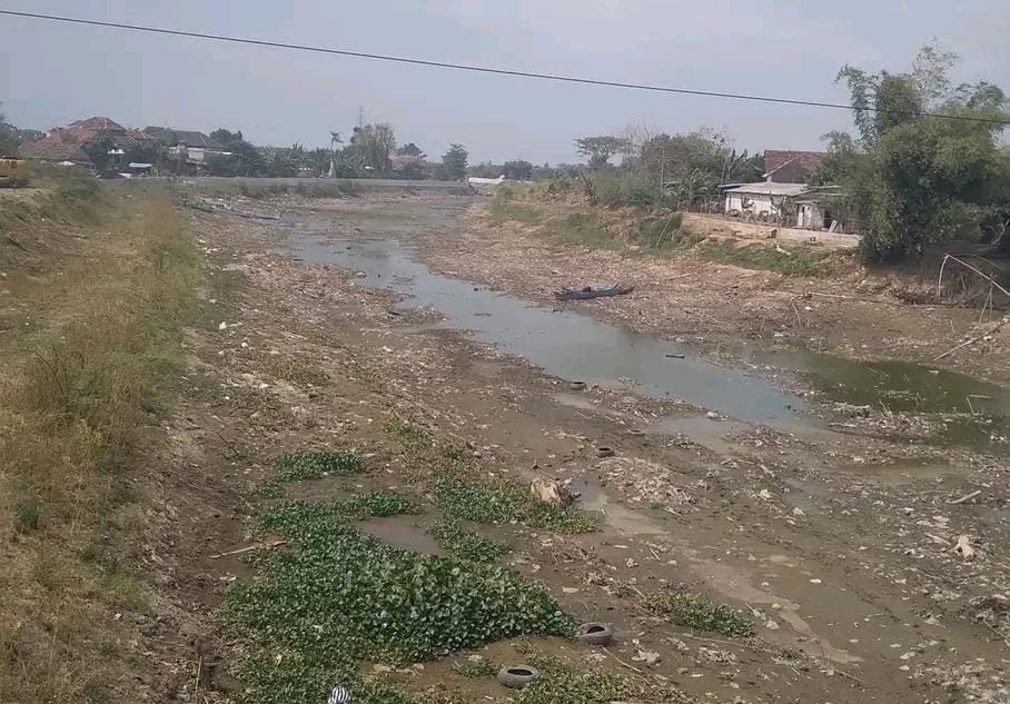 KERING: Kondisi Sungai Juwana ketika kering belum lama ini. ANDRE FAIDHIL FALAH/RADARPATI.ID