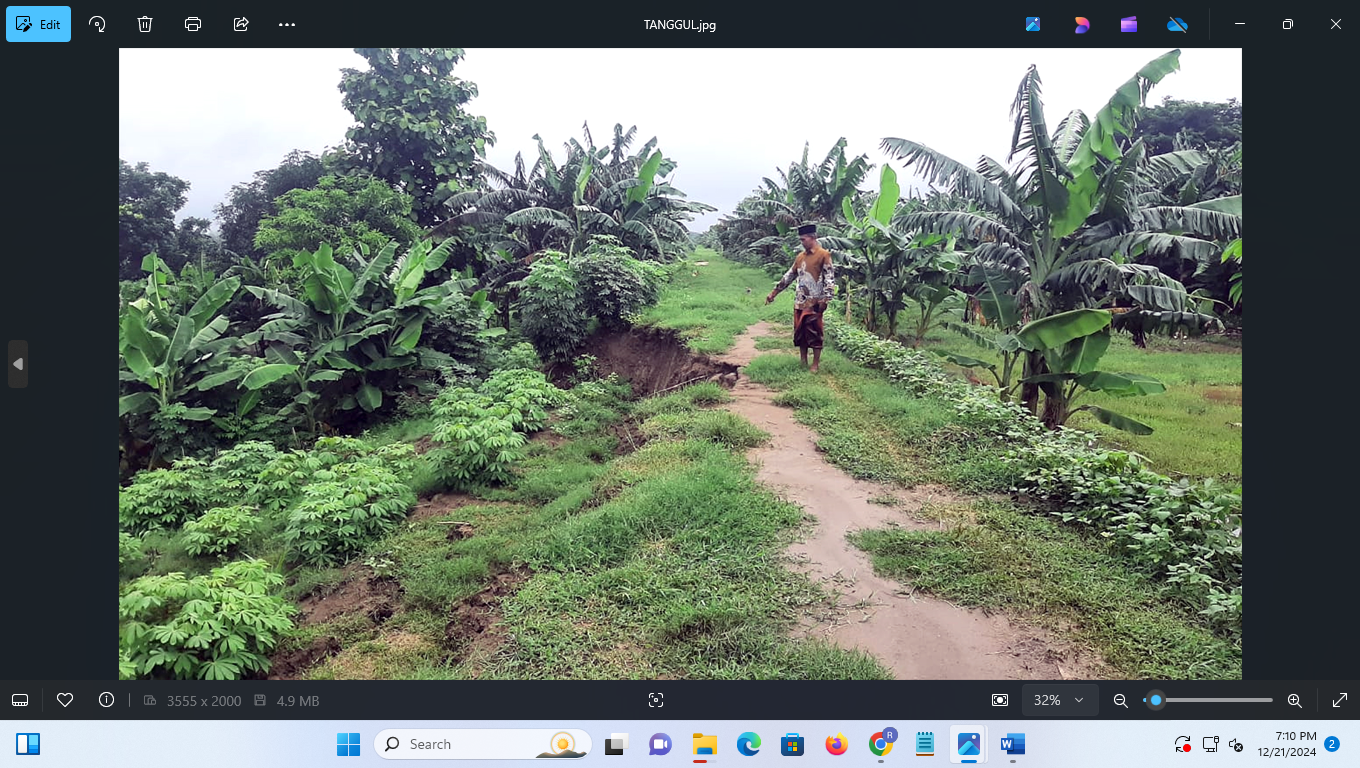 LONGSOR: Warga saat menunjukan lokasi tangggul Sungai Tuntang yang jebol dilumat hujan deras. (INTAN MAYLANI SABRINA/RADAR PATI)