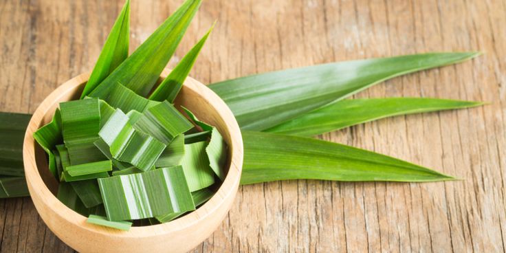 Manfat Daun Pandan