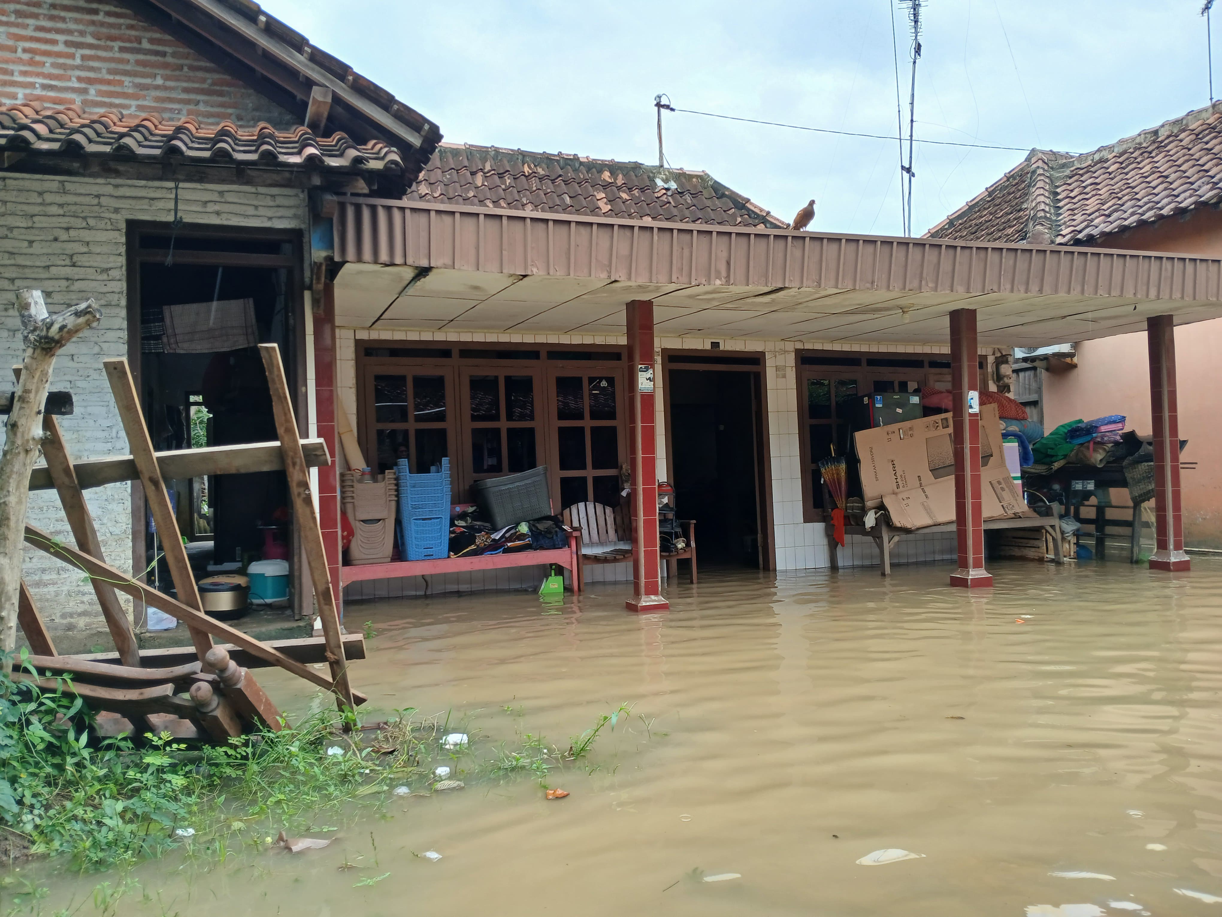 Pemandangan banjir yang menggenangi Desa Doropayung Kecamatan Juwana Pati. (ACHMAD ULIL ALBAB/RADAR PATI)